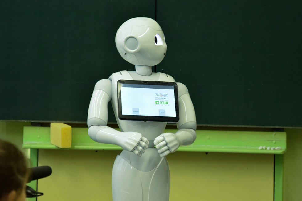 Robot humanoid
